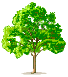tree1